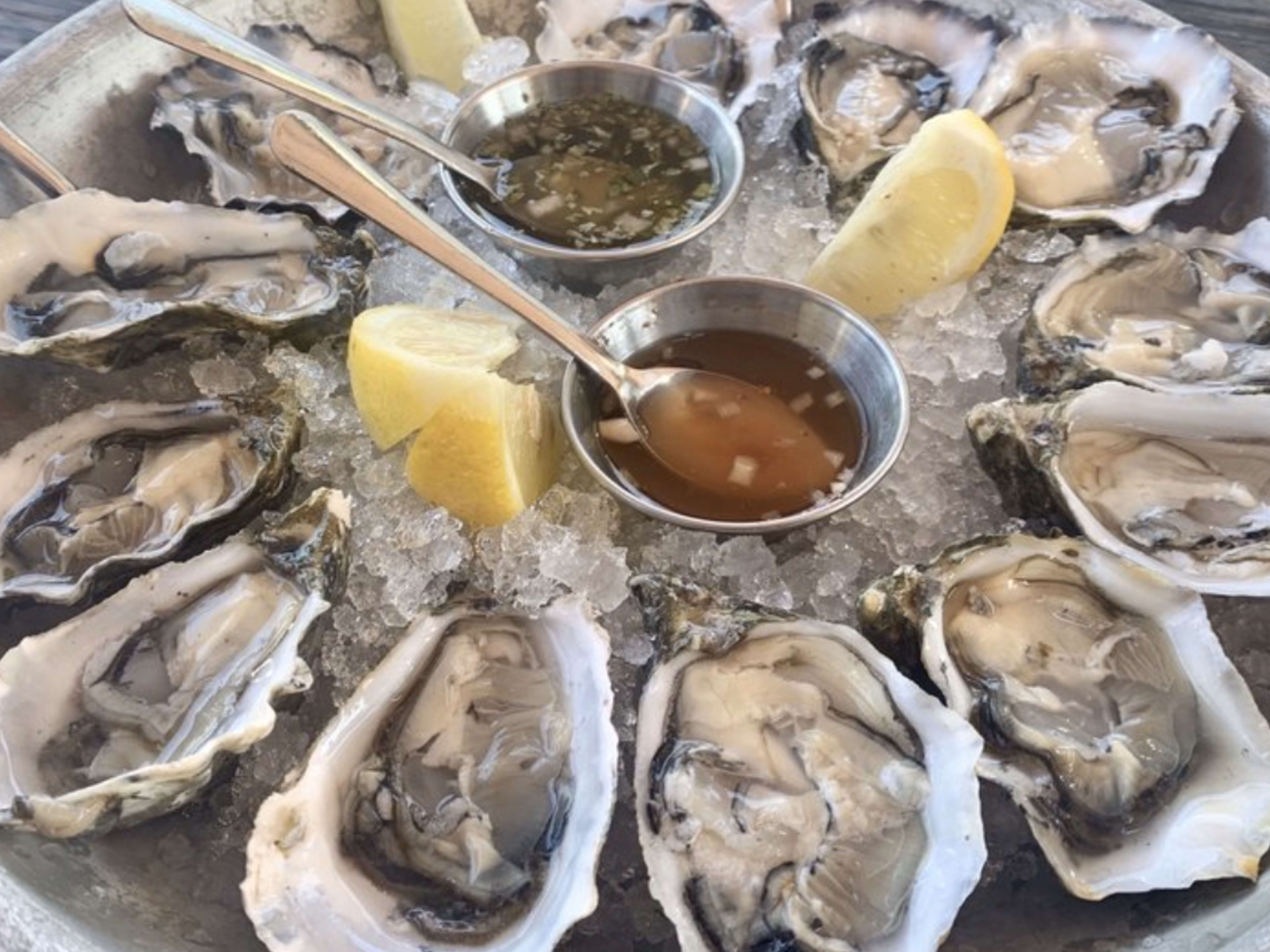 Drake’s Bay Oysters